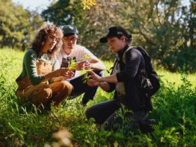 Foragers Hike at Alila Ventana Big Sur