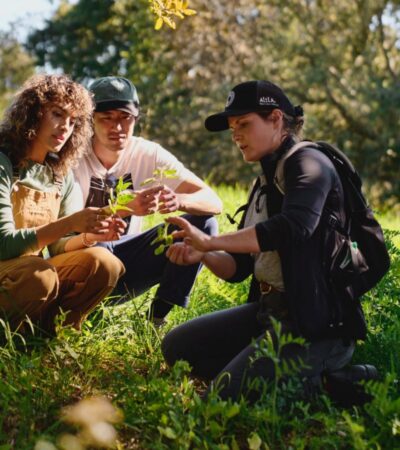 Foragers Hike at Alila Ventana Big Sur