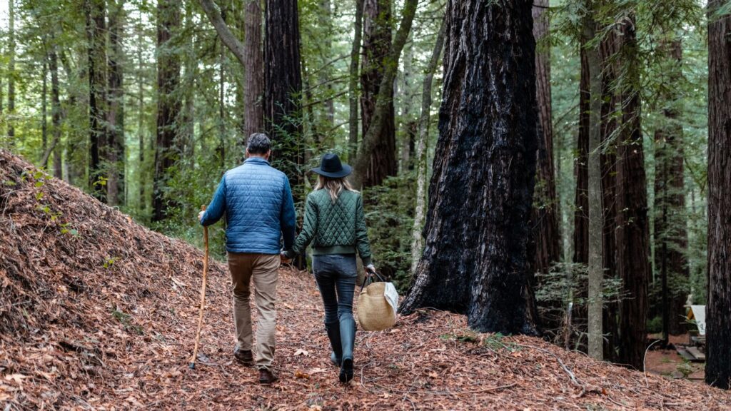 Foraging at Alila Ventana Big Sur