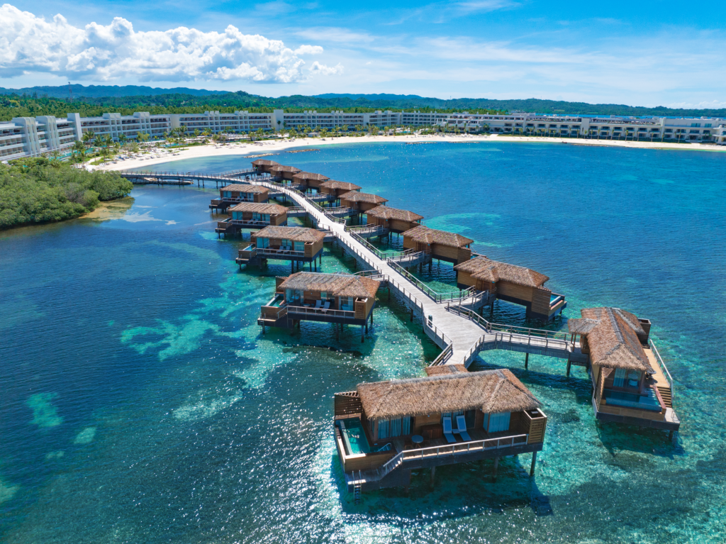 Princess Senses The Mangrove