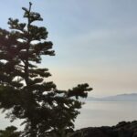 Tahoe, Photo by Christine Sarkis