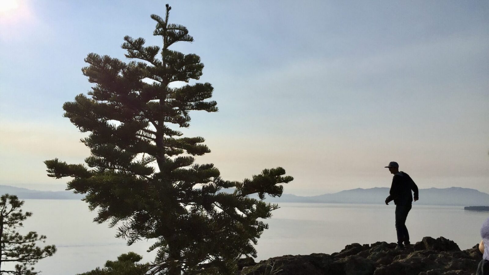 Tahoe, Photo by Christine Sarkis