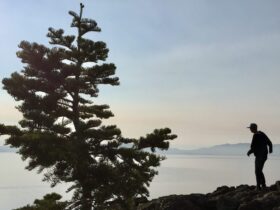 Tahoe, Photo by Christine Sarkis