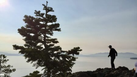 Tahoe, Photo by Christine Sarkis