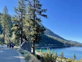 East Shore Trail (Photo: Christine Sarkis)