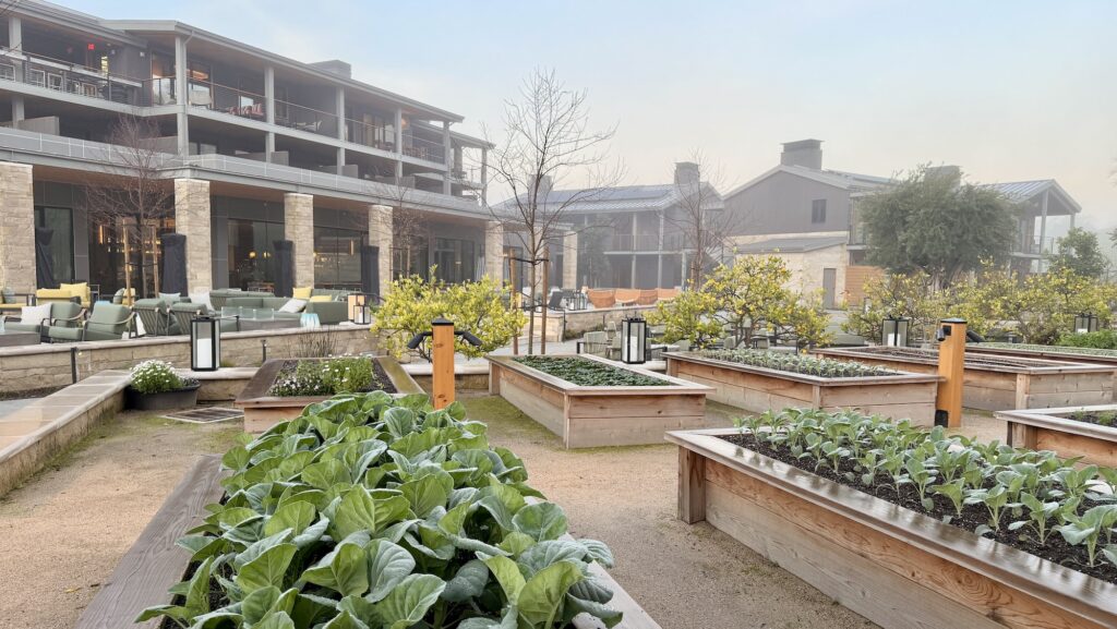 Garden beds fill the property at Appellation Healdsburg