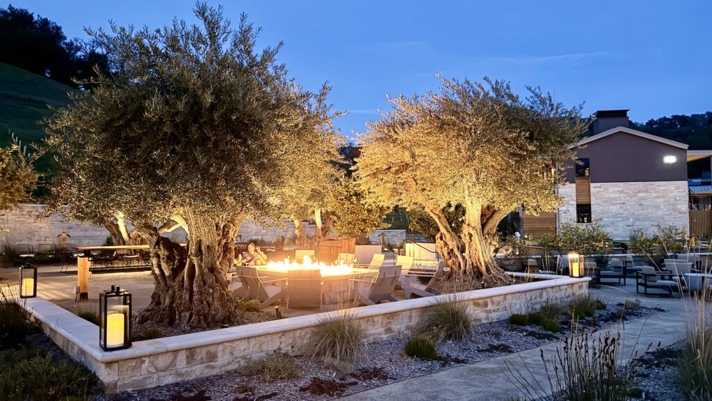 Appellation Healdsburg evening fire pit 