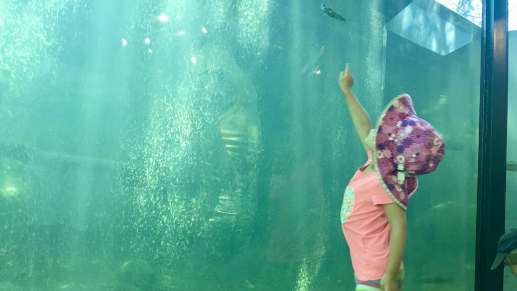 Taylor Creek’s stream profile chamber (Photo: Christine Sarkis)