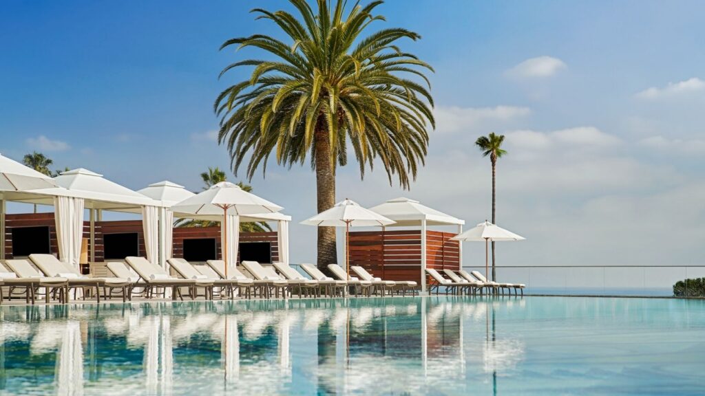 Montage Laguna Beach pool on a sunny day with a big palm tree