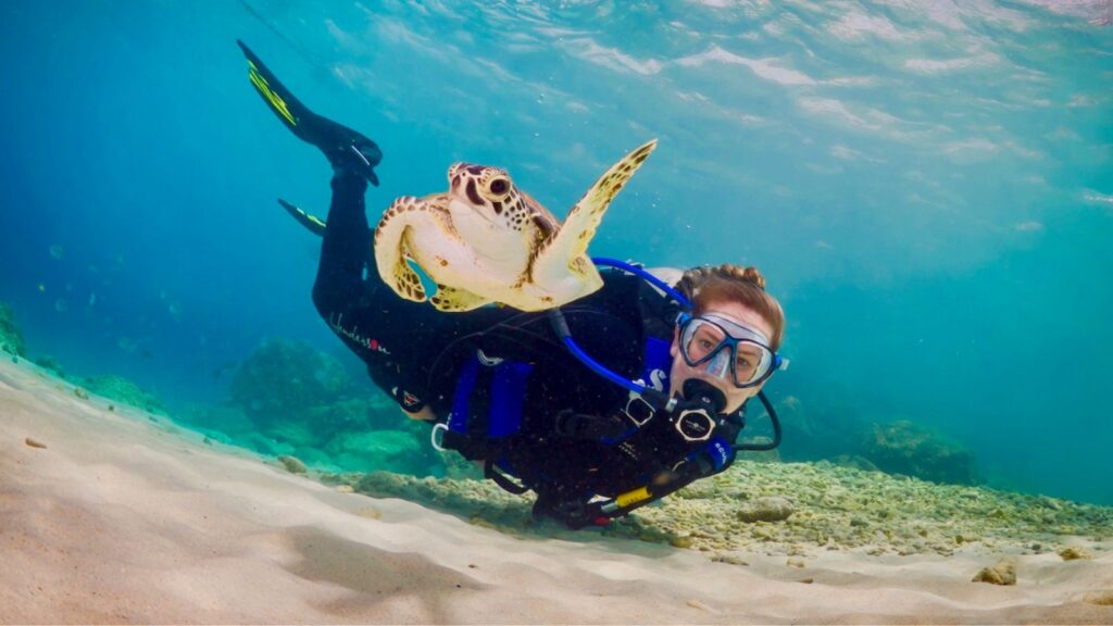 Harbour Village Beach Club in Bonaire is home to a PADI 5-Star IDC center offering scuba and snorkel experiences (Photo: Harbour Village Beach Club )