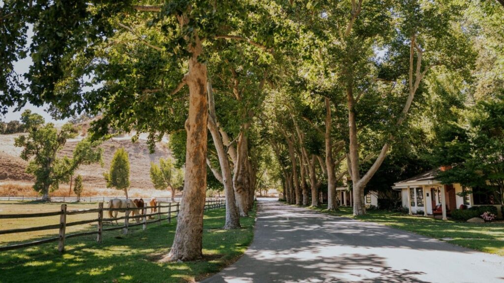 Cottages on The Lane at Alisal Ranch