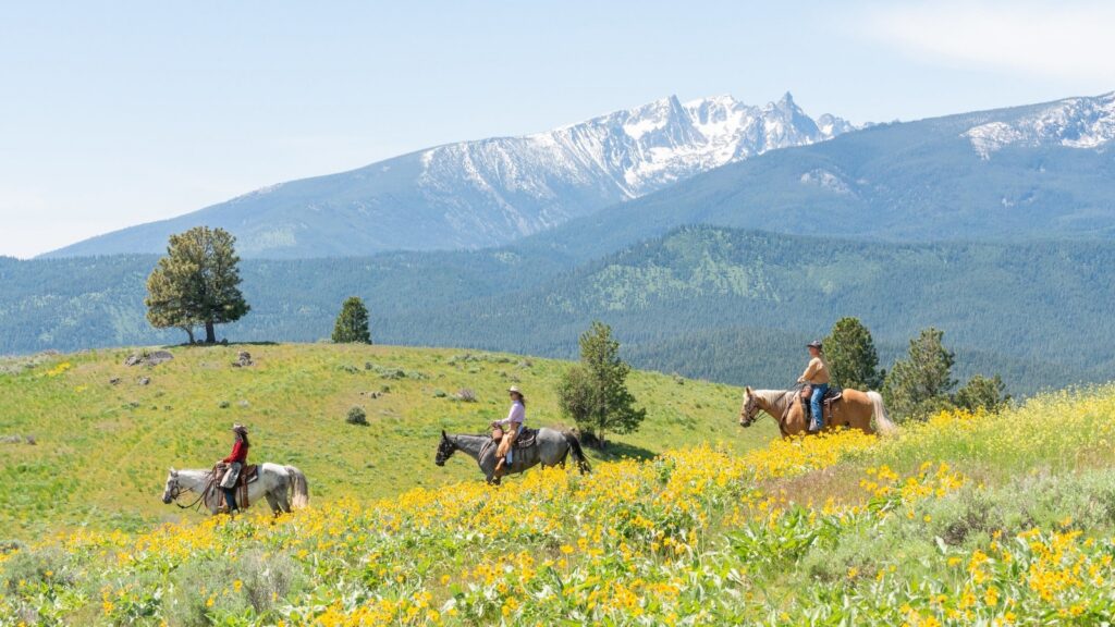Horseback riders in a meadow at Triple Creek Ranch